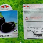 Merdan F1 | Eggplant | 500 Seeds