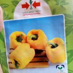 Sweet Pepper Nirmada F1 (Yellow Pepper)