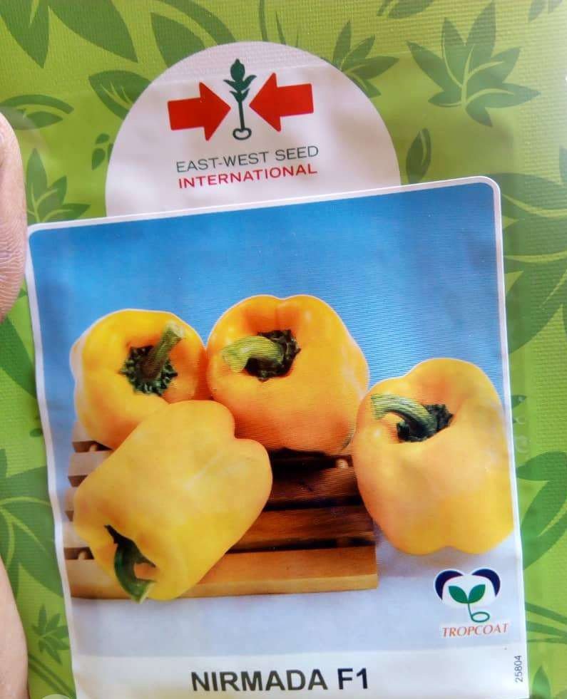 nirmada.jpg Sweet Pepper Nirmada F1 (Yellow Pepper) - Image 1