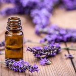 Yosher-Dan Lavender Oil (Natural | Organic)