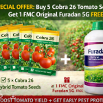 Offer: Buy 5 Cobra 26 Tomato Seeds + 1 FMC Original Furadan 5G free