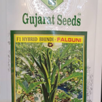 Falguni Hybrid F1 Okro Seed / 25g