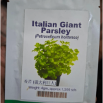 Italian Giant Parsley Seeds