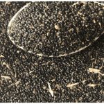 Soko Vegetable Seed | per 50gram