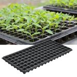 Seed Trays (Plastic Nursery Sprouter Tray) - Image 2