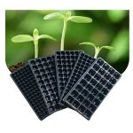Seed Trays (Plastic Nursery Sprouter Tray) - Image 3