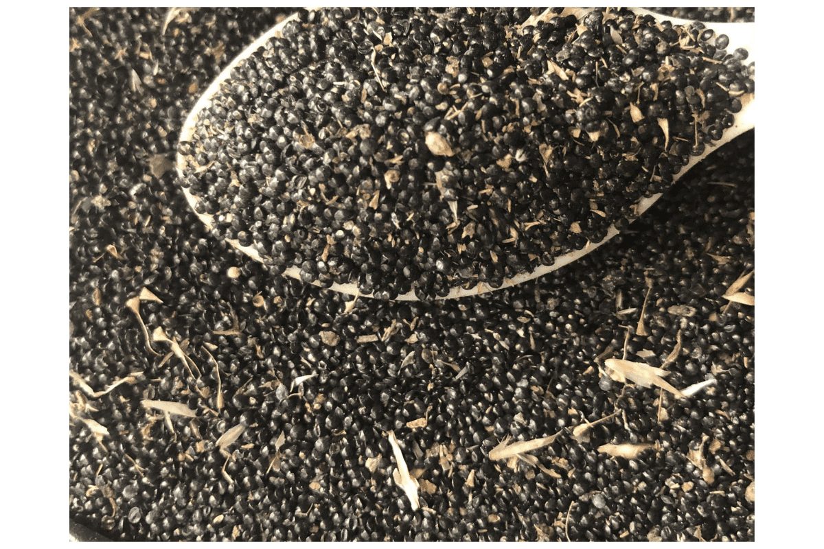seed.jpg Soko Vegetable Seed | per 50gram - Image 1