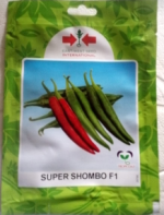 Super Shombo Pepper Seeds | 500 seed - Image 2