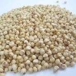 Sorghum Seeds (Premium Varieties | 1Kg |50kg Bags) - Image 2
