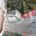 Soybean Seeds (Premium Varieties | 5kg Bags)