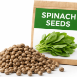 Spinach Seeds | per gram