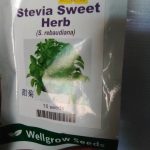 Stevia Sweet Herb | 10 seeds