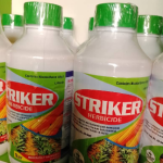 Striker Herbicide | 1Litre