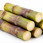 Sugarcane | per Sett