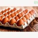 Paper Egg Crates (White | Brown | Bundle of 100 pieces)