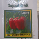 Gujarat Seeds Ragini F1 Hybrid Red Bell Pepper | 5g