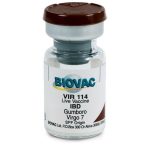 Gumboro Vaccines (Large Dose Vial | 100 | 200  | 500  | 1000 | 2000) + Transport Flask