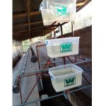 Local Plastic Water Tank For Poultry Pen/Battery Cage (25 Litres) - Image 8