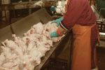 High Capacity Carcass Washing Bowl (10/25 Birds/Batch | Stainless Steel | Locally Fabricated) - Image 3