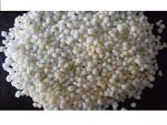 Calcium Nitrate Fertilizer + Boron (YaraLiva™ Nitrabor | 25kg Bag) - Image 2